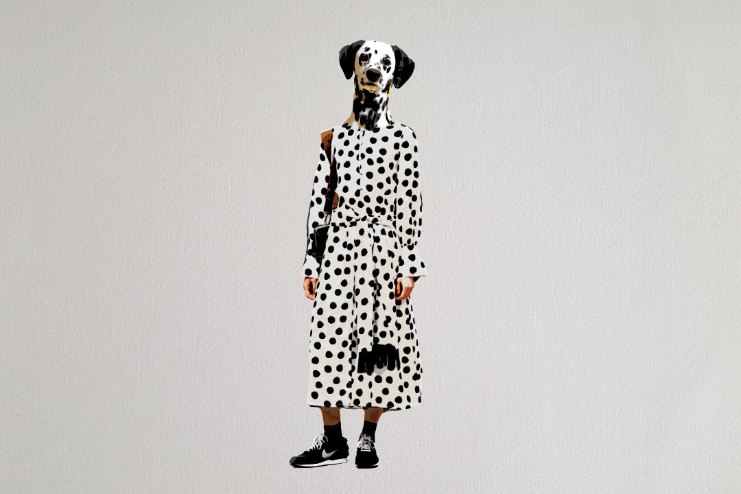 "Dalmatian" von Marshal Arts