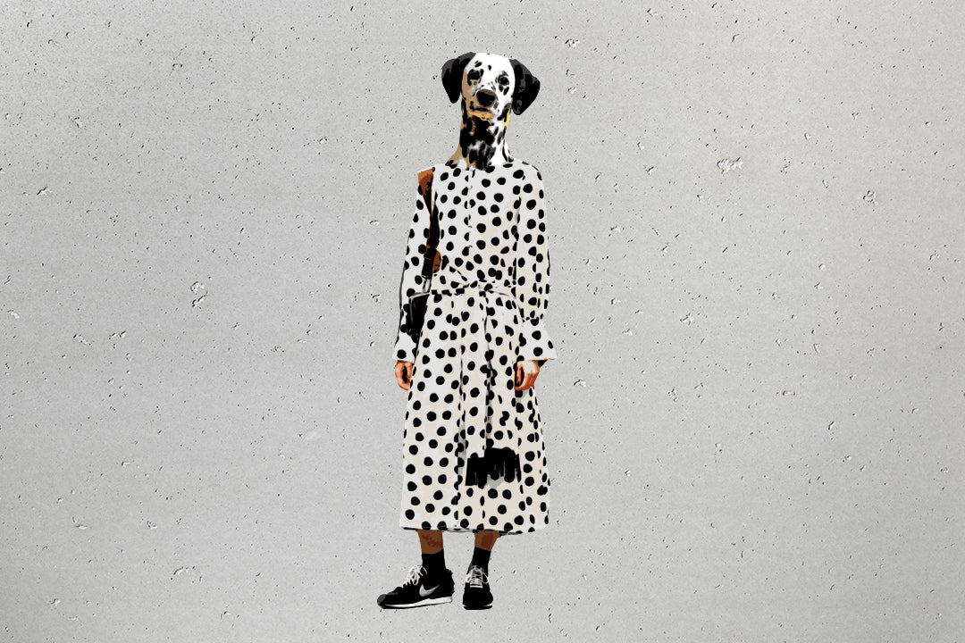"Dalmatian" von Marshal Arts
